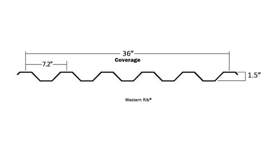 western-rib-line-drawing